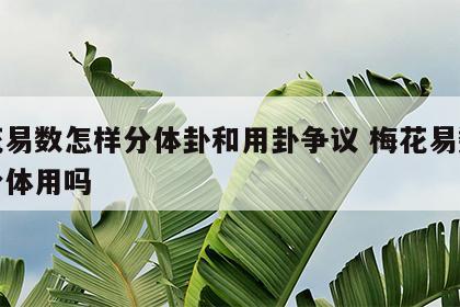 梅花易数怎样分体卦和用卦争议 梅花易数变卦分体用吗