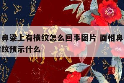 看相鼻梁上有横纹怎么回事图片 面相鼻梁上有横纹预示什么