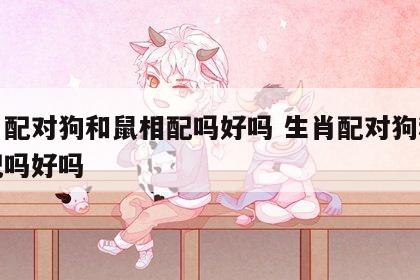 生肖配对狗和鼠相配吗好吗 生肖配对狗和鼠相配吗好吗