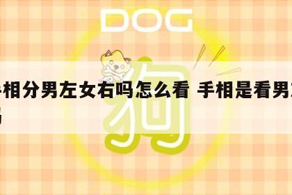 看手相分男左女右吗怎么看 手相是看男左女右吗