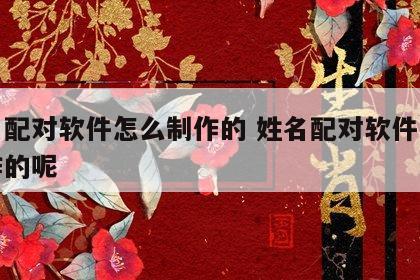 姓名配对软件怎么制作的 姓名配对软件怎么制作的呢