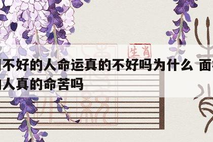 面相不好的人命运真的不好吗为什么 面相不好的人真的命苦吗