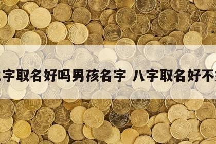 八字取名好吗男孩名字 八字取名好不好