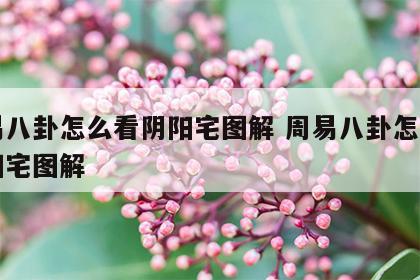 周易八卦怎么看阴阳宅图解 周易八卦怎么看阴阳宅图解