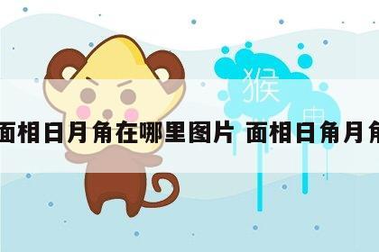 面相日月角在哪里图片 面相日角月角