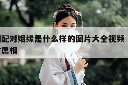 婚姻配对姻缘是什么样的图片大全视频 姻缘配对属相