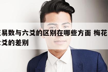 梅花易数与六爻的区别在哪些方面 梅花易数和六爻的差别