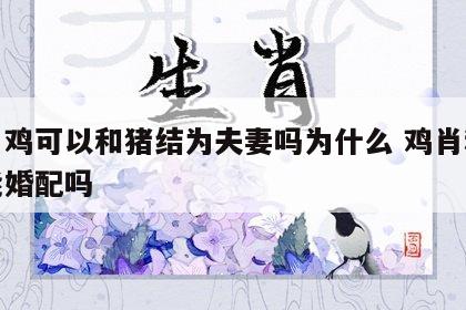 生肖鸡可以和猪结为夫妻吗为什么 鸡肖和猪肖能婚配吗