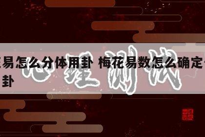 梅花易怎么分体用卦 梅花易数怎么确定体卦和用卦