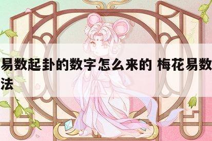梅花易数起卦的数字怎么来的 梅花易数字数起卦法