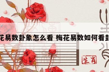 梅花易数卦象怎么看 梅花易数如何看卦气