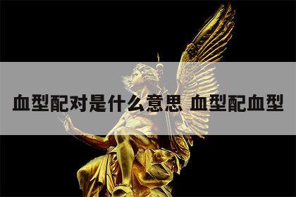血型配对是什么意思 血型配血型