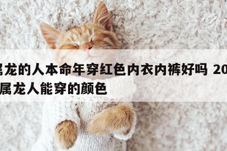 属龙的人本命年穿红色内衣内裤好吗 2024属龙人能穿的颜色