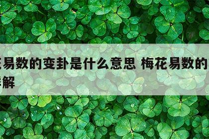 梅花易数的变卦是什么意思 梅花易数的变爻怎样解