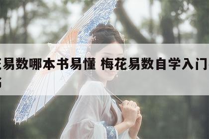 梅花易数哪本书易懂 梅花易数自学入门买哪本书