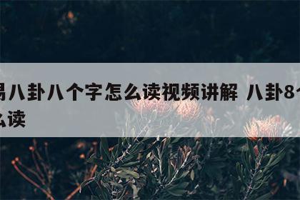 周易八卦八个字怎么读视频讲解 八卦8个字怎么读