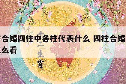八字合婚四柱中各柱代表什么 四柱合婚法每柱怎么看