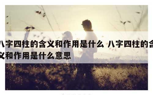 八字四柱的含义和作用是什么 八字四柱的含义和作用是什么意思