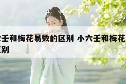 小六壬和梅花易数的区别 小六壬和梅花易数的区别