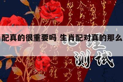 生肖配真的很重要吗 生肖配对真的那么重要吗