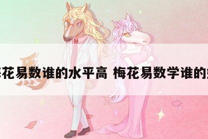 梅花易数谁的水平高 梅花易数学谁的好