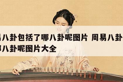 周易八卦包括了哪八卦呢图片 周易八卦包括了哪八卦呢图片大全