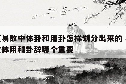 梅花易数中体卦和用卦怎样划分出来的 梅花易数体用和卦辞哪个重要