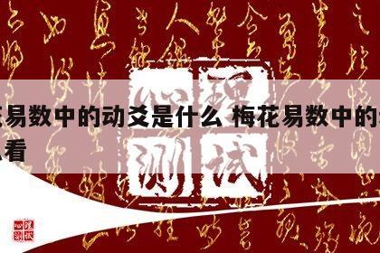 梅花易数中的动爻是什么 梅花易数中的动爻怎么看