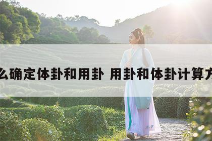 怎么确定体卦和用卦 用卦和体卦计算方法