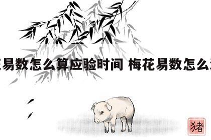 梅花易数怎么算应验时间 梅花易数怎么测时间