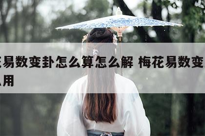 梅花易数变卦怎么算怎么解 梅花易数变卦有什么用