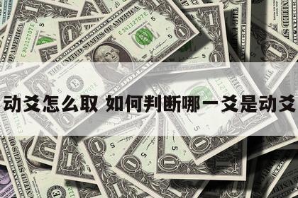 动爻怎么取 如何判断哪一爻是动爻