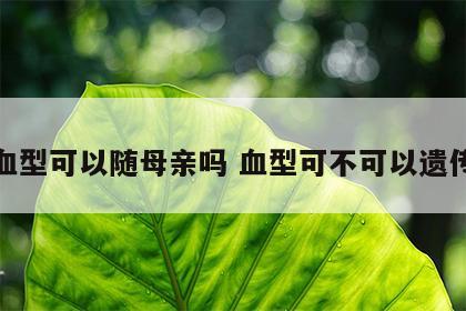 血型可以随母亲吗 血型可不可以遗传