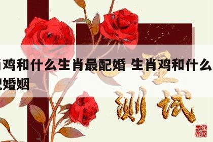 生肖鸡和什么生肖最配婚 生肖鸡和什么生肖最配婚姻
