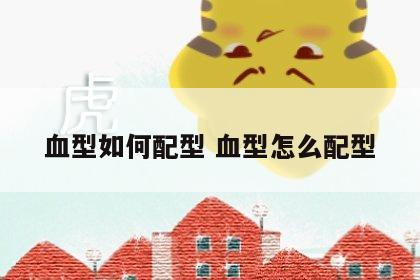 血型如何配型 血型怎么配型