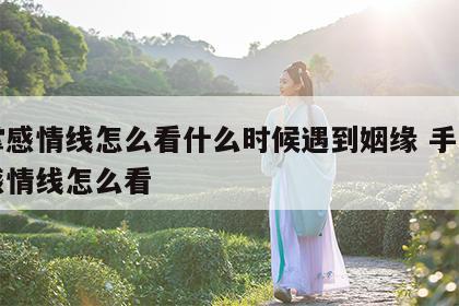 手掌感情线怎么看什么时候遇到姻缘 手掌上的感情线怎么看
