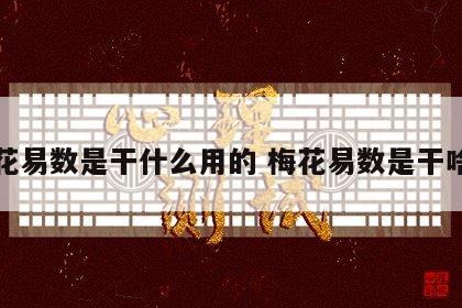 梅花易数是干什么用的 梅花易数是干啥的