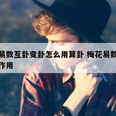 梅花易数互卦变卦怎么用算卦 梅花易数互卦相互作用