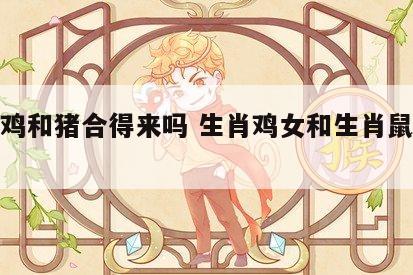 生肖鸡和猪合得来吗 生肖鸡女和生肖鼠男合不合