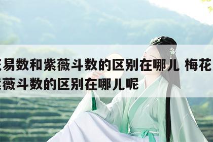 梅花易数和紫薇斗数的区别在哪儿 梅花易数和紫薇斗数的区别在哪儿呢