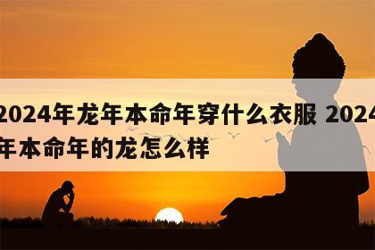 2024年龙年本命年穿什么衣服 2024年本命年的龙怎么样
