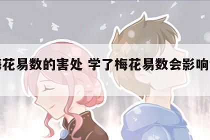 学梅花易数的害处 学了梅花易数会影响命运吗