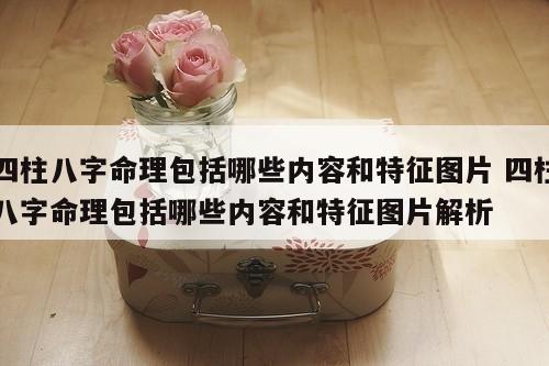 四柱八字命理包括哪些内容和特征图片 四柱八字命理包括哪些内容和特征图片解析