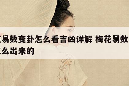 梅花易数变卦怎么看吉凶详解 梅花易数的变卦怎么出来的