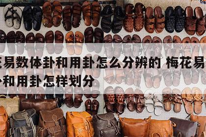 梅花易数体卦和用卦怎么分辨的 梅花易数中体卦和用卦怎样划分