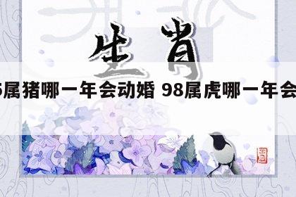 95属猪哪一年会动婚 98属虎哪一年会动婚