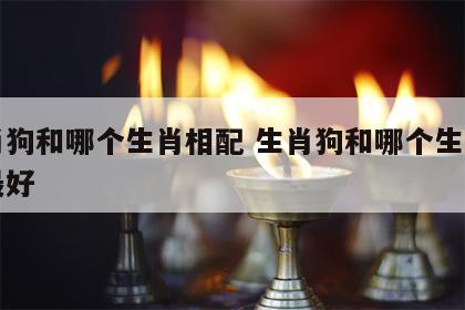 生肖狗和哪个生肖相配 生肖狗和哪个生肖相配最好