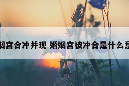 婚姻宫合冲并现 婚姻宫被冲合是什么意思