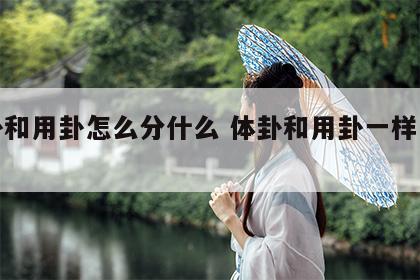 体卦和用卦怎么分什么 体卦和用卦一样怎么办