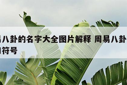 周易八卦的名字大全图片解释 周易八卦的名称和符号